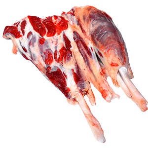 Shank